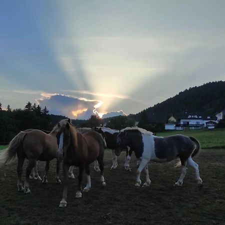 Ferienwohnung Am Tor Zum Thueringer Wald 2 Plaue  Kültér fotó